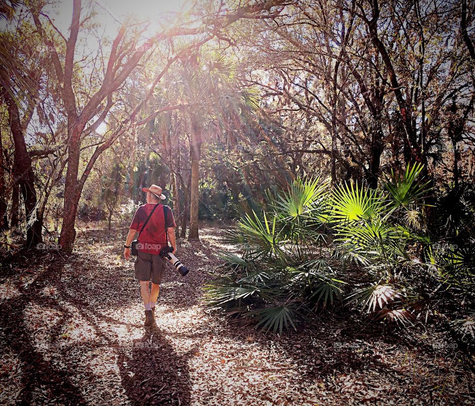 Photographer exploring a  sunlit forest.