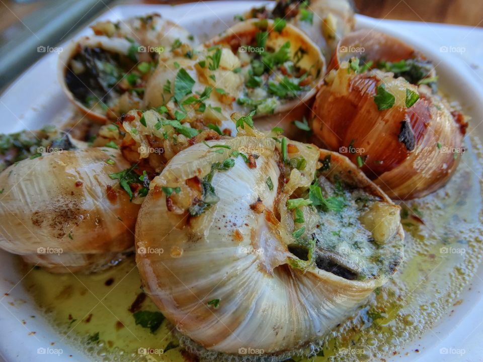 Directly above view of fresh escargot in bowl