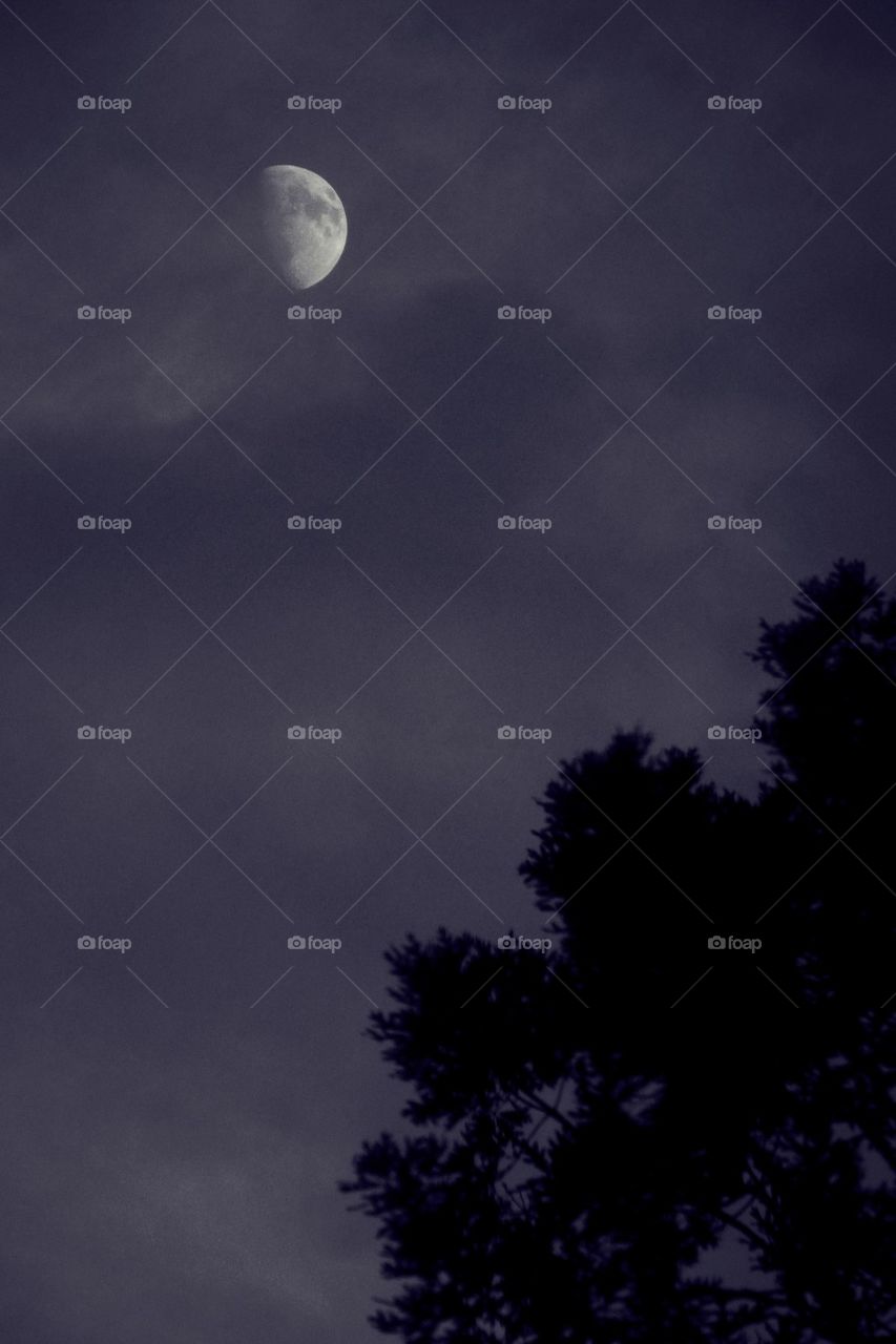 The Arrival of Nightfall