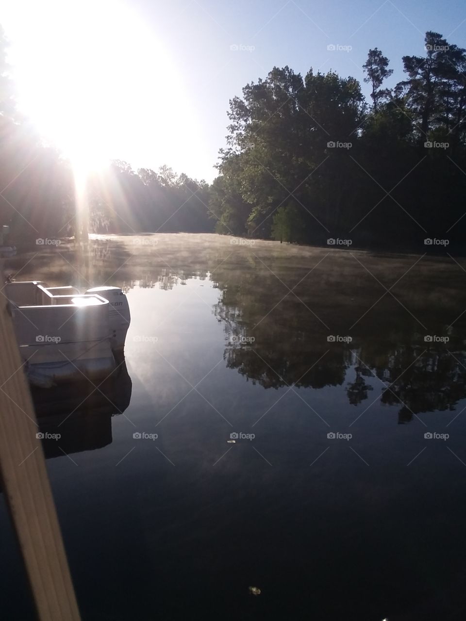 Mornings at the lake!