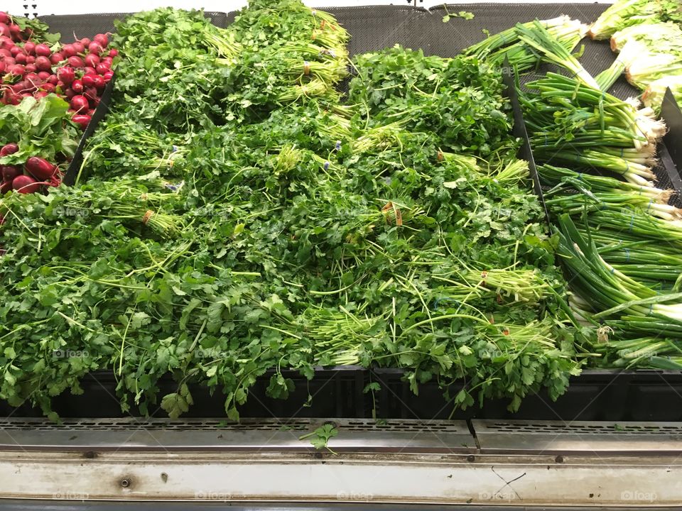 Vegetables on display 
