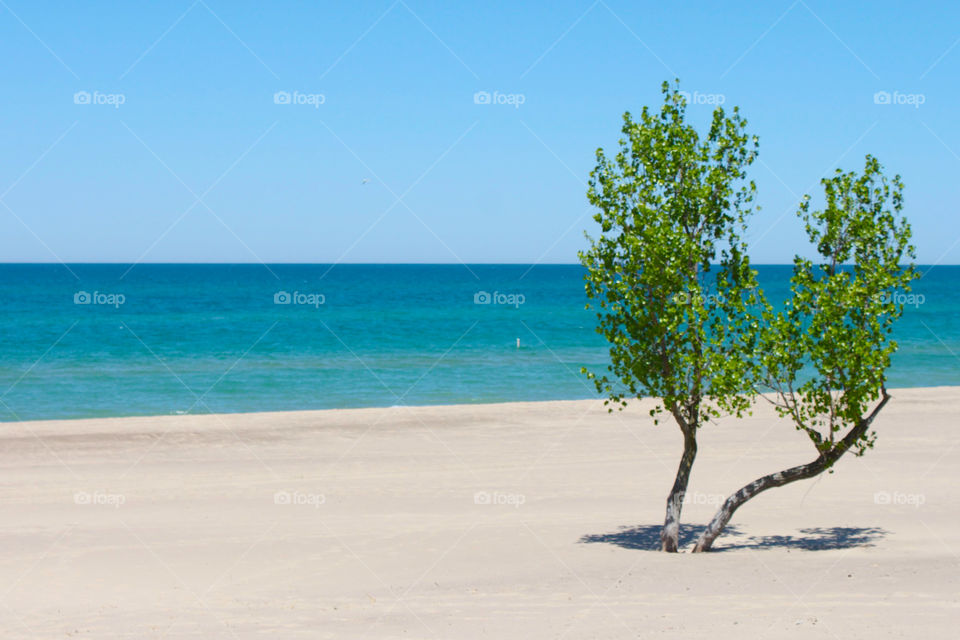 Scenic view of beach