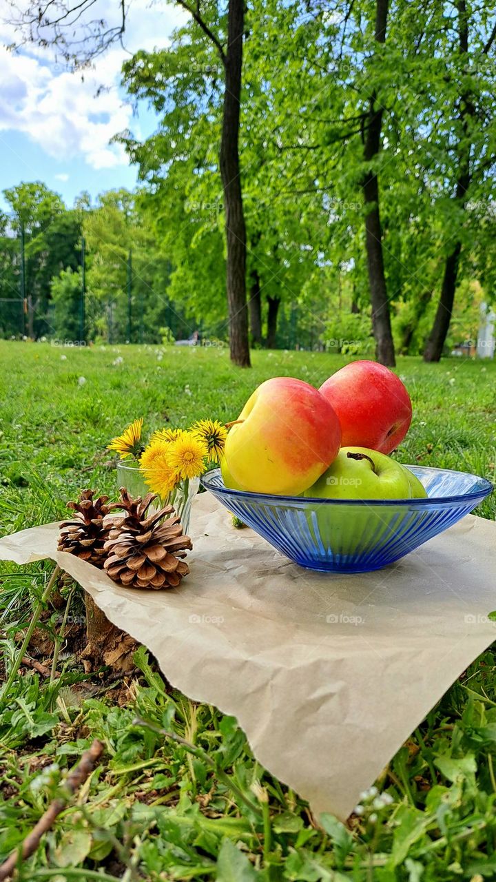 picnic in nature