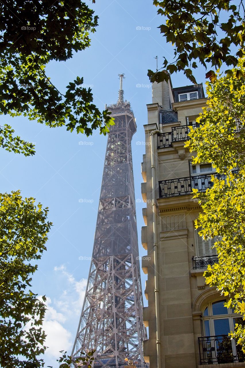 the facade of the house