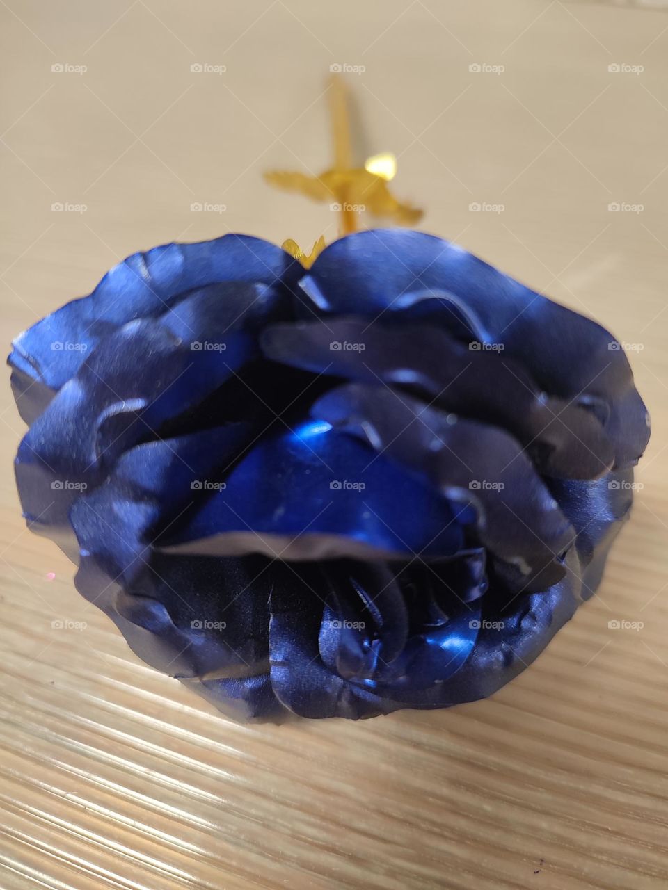 Flower, a rose, blue