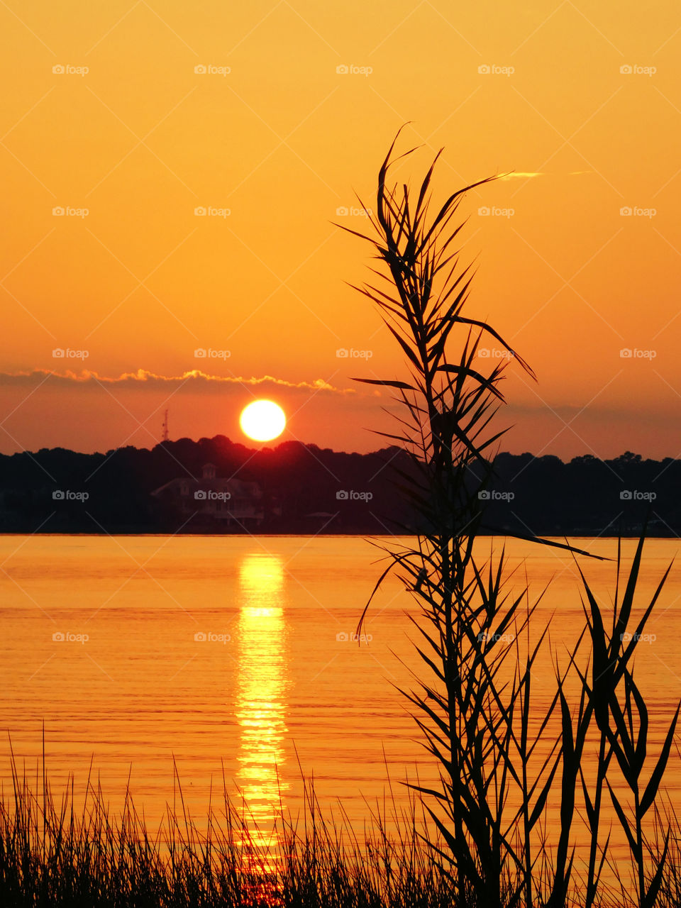 Scenic view lake during sunset