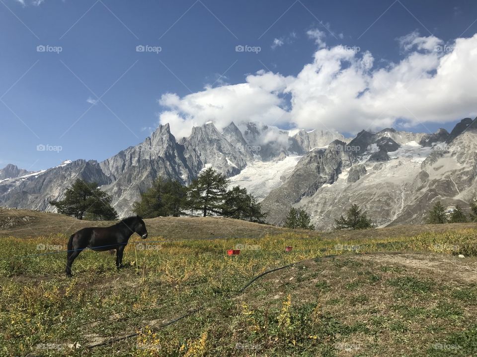 Mont Blanc in the background 