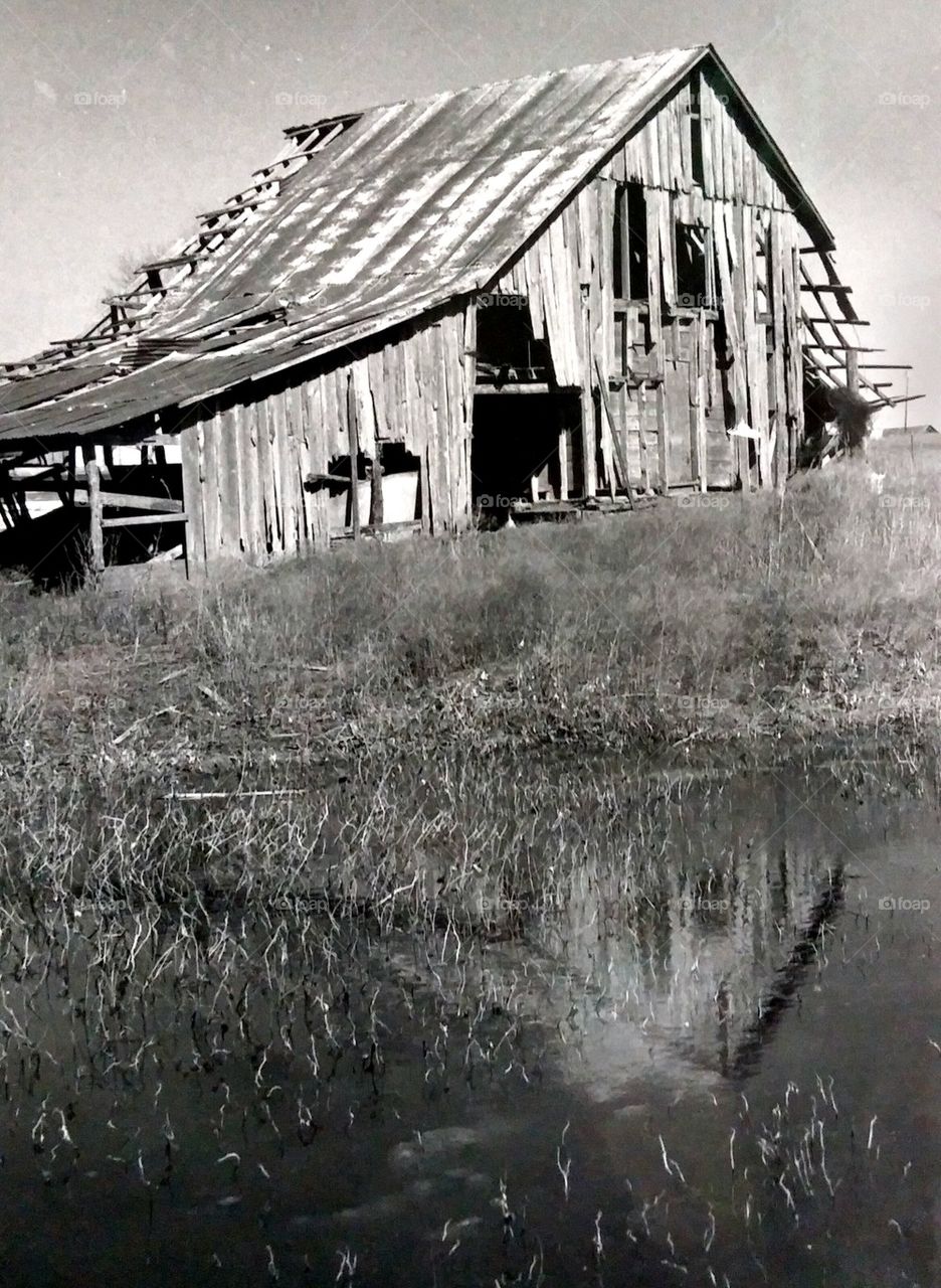 barn