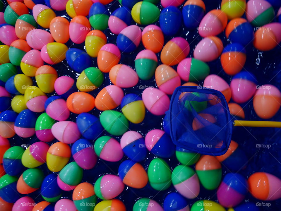 colorful eggs