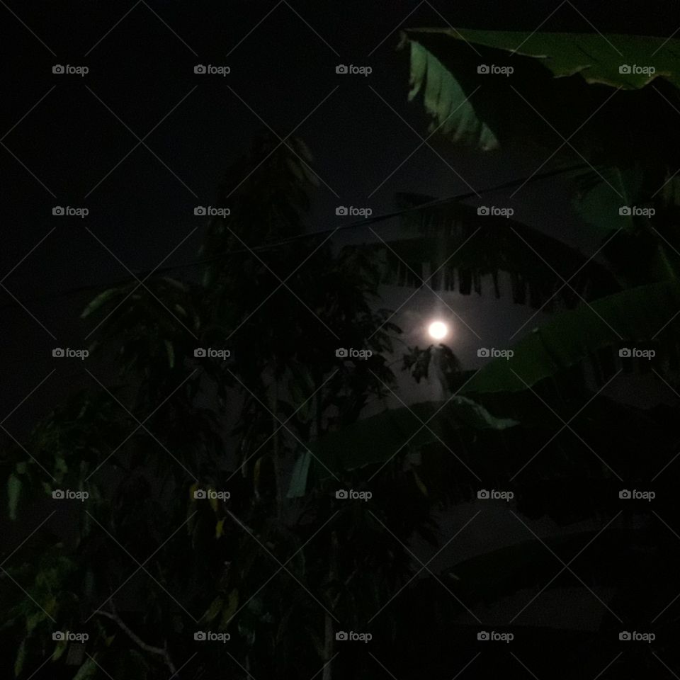 Full moon night.  Photo taken on October 13, 2019, in Semarang, Indonesia.
