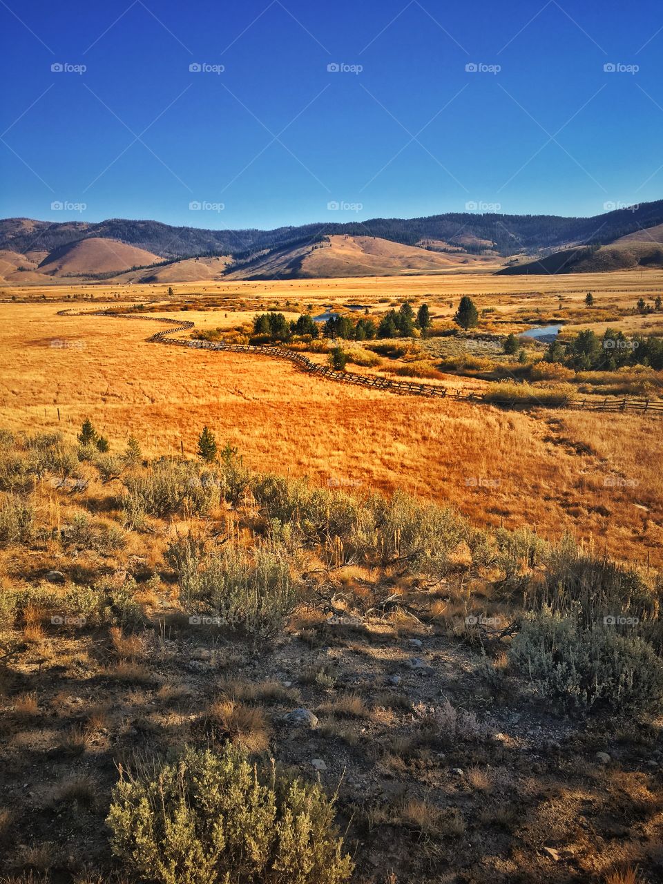 High Mountain Ranch, Stanley Basin, Idaho Mountains