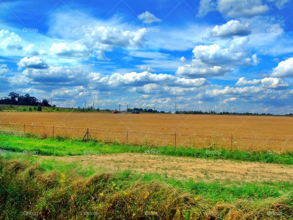 landscape field meadow clouds by uzzidaman