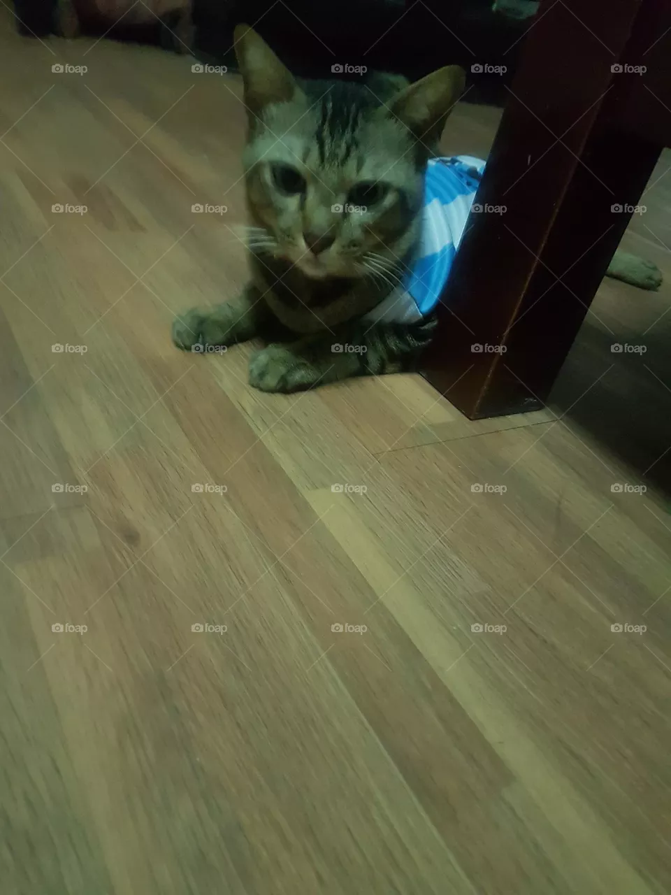 invite to exercise