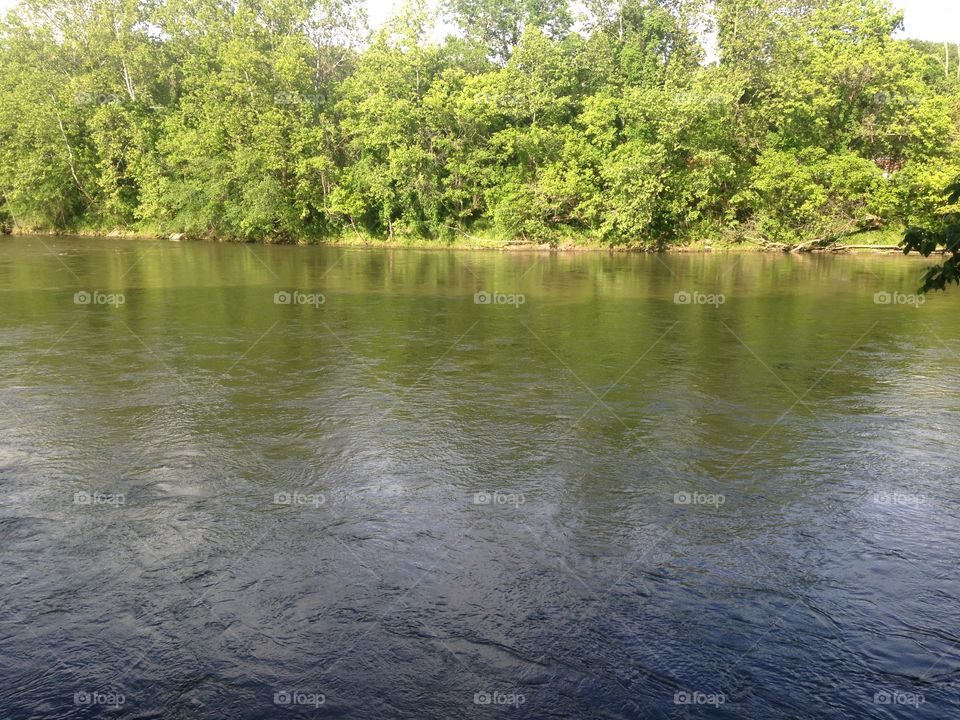 French Broad River. Reflection of trees in the waters of the French Broad River in Asheville, North Carolina.