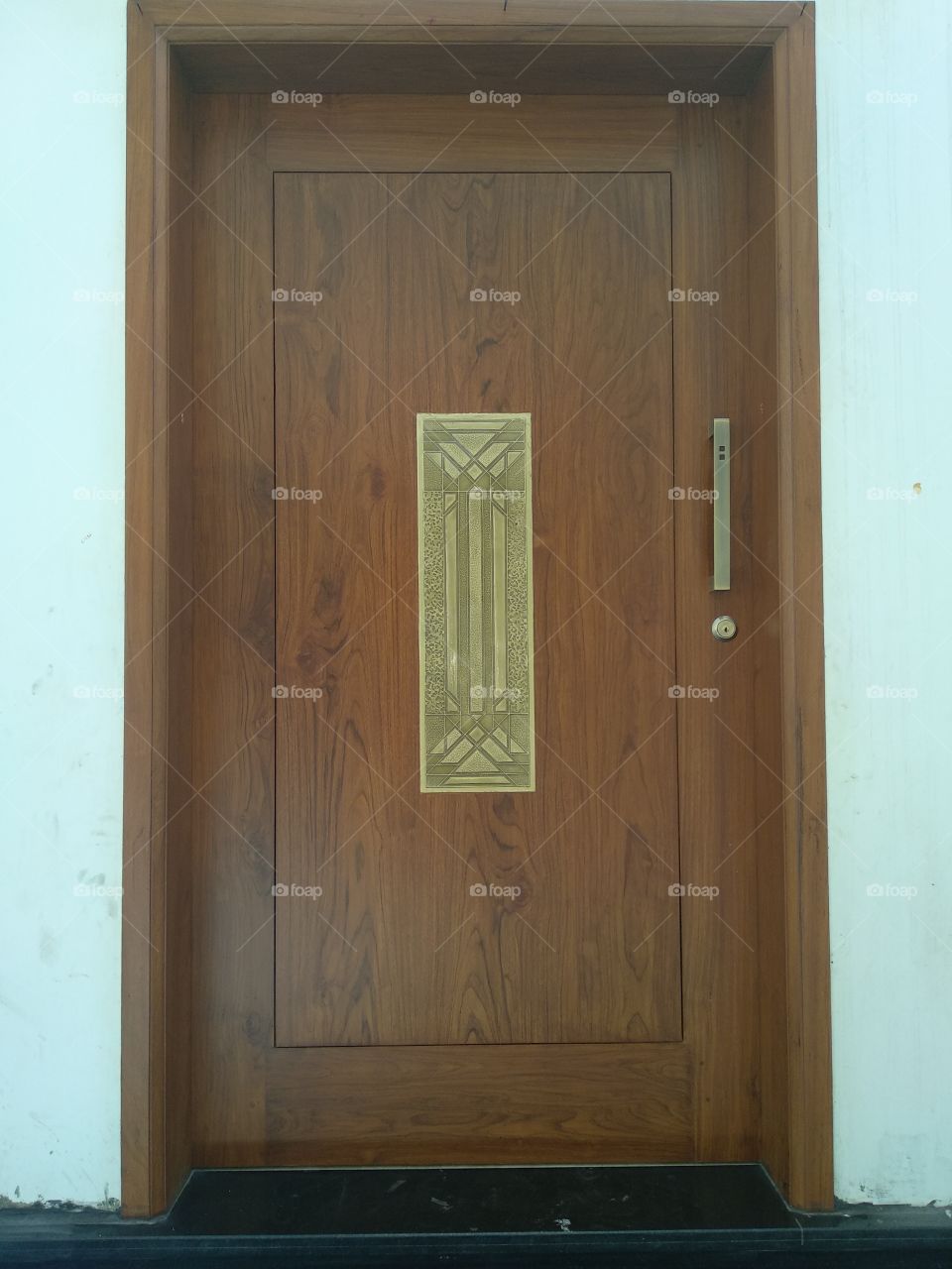 Classic style doors with brass engravings