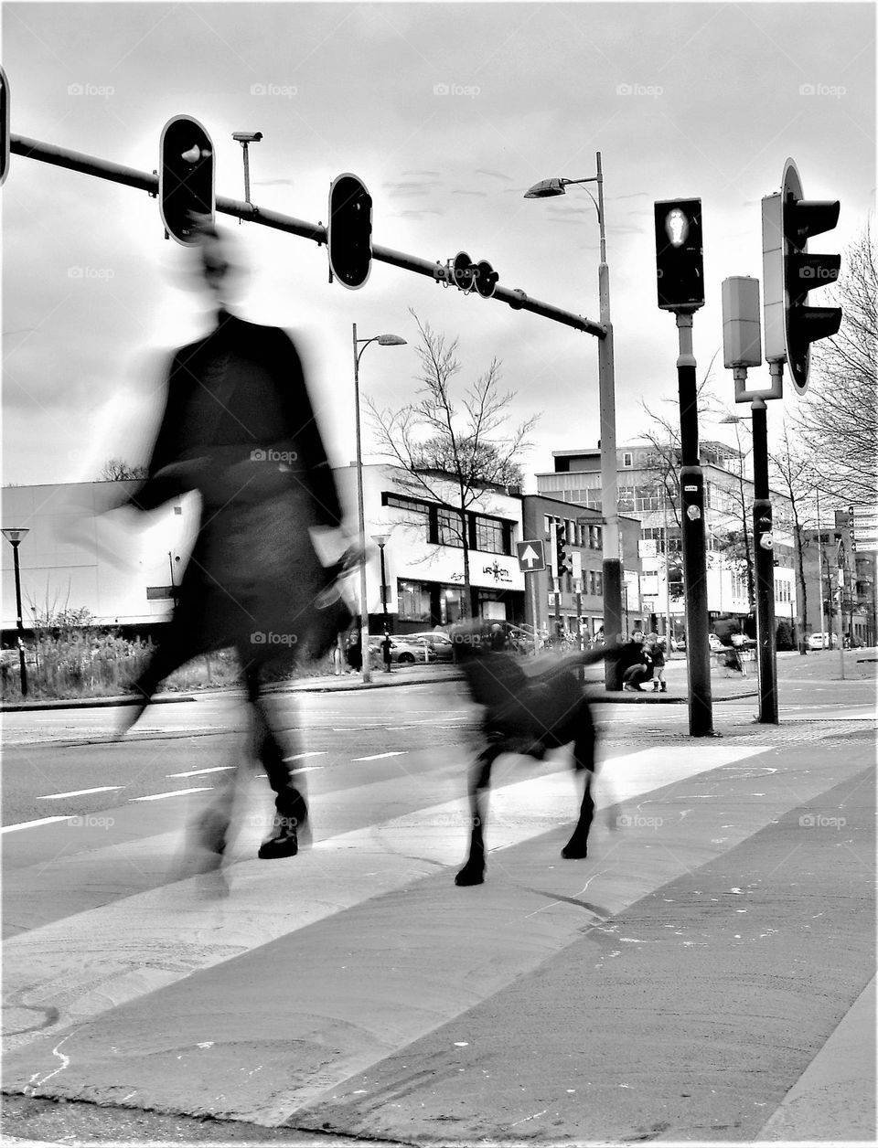 black and white image with a woman walking the dog on a crisswalkbin a busy street with traffic lights in an urban environment