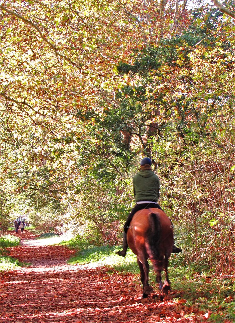 Horseriding