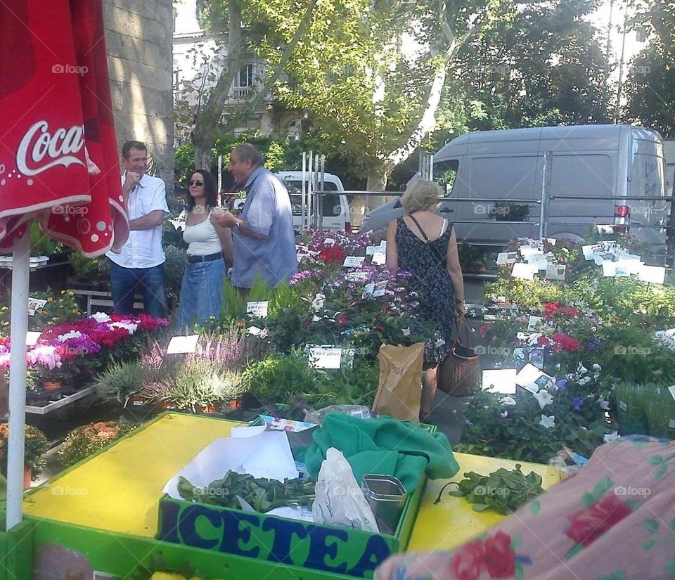 the square in montpellier