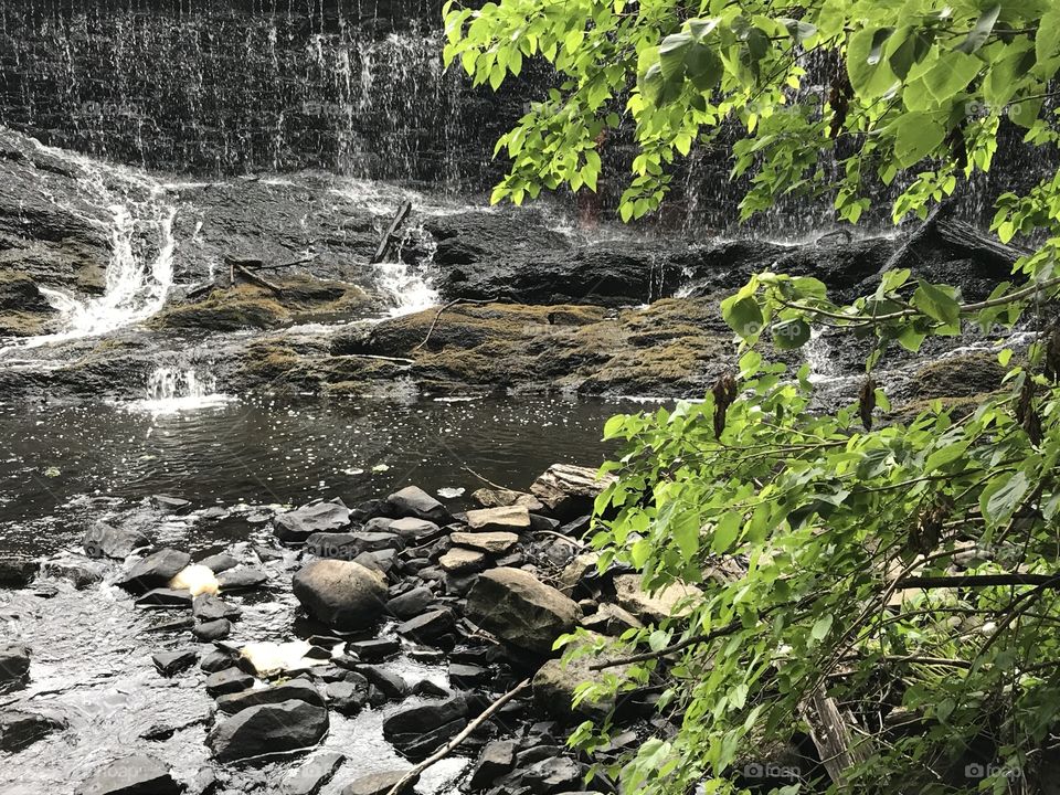 Peaceful creek