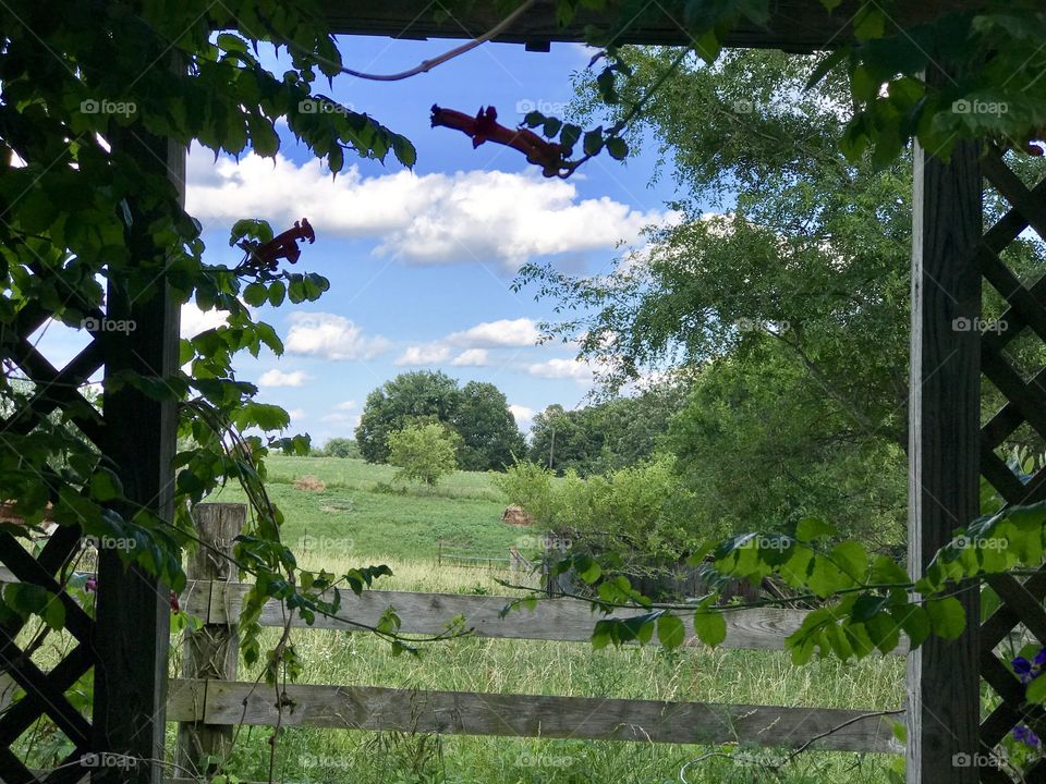 Iowa Farm 