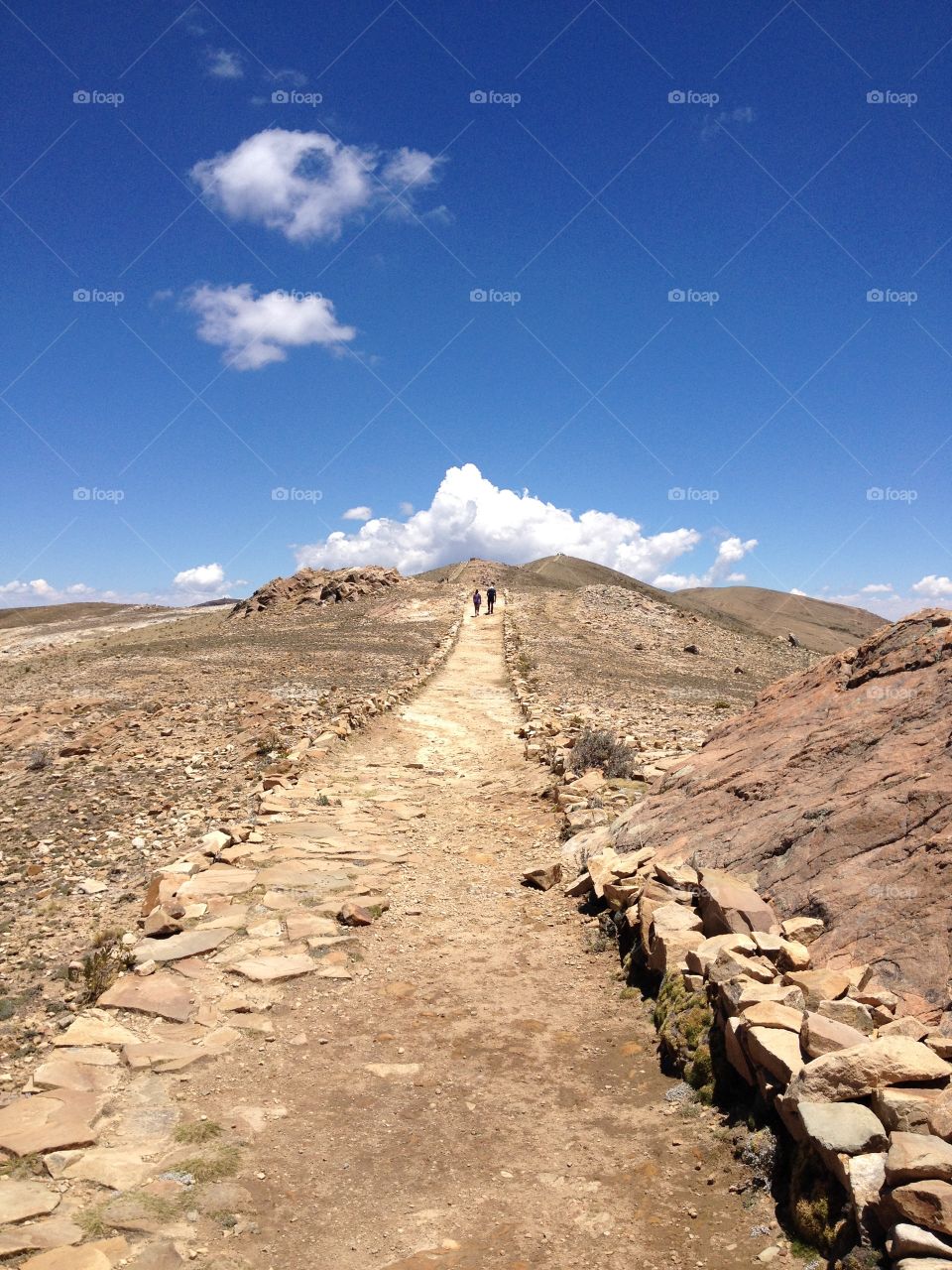 Tracking in Bolivia 