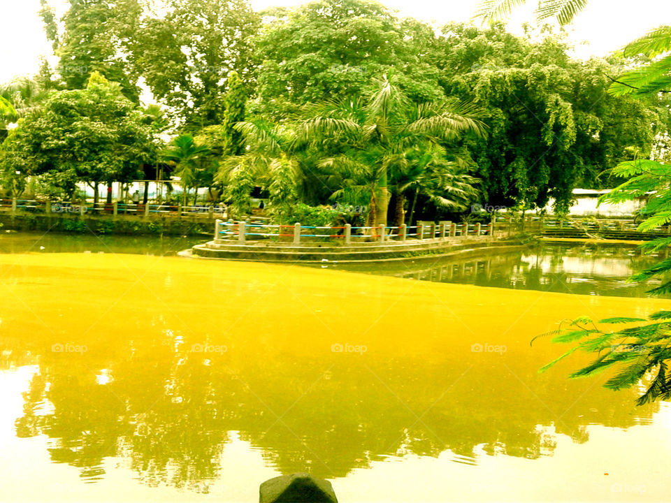 Maa Posumoni temple pond taked pic  from backside.