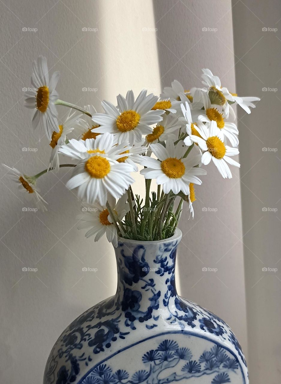 camomile flowers in vase in the sunlight, vintage, love summer time