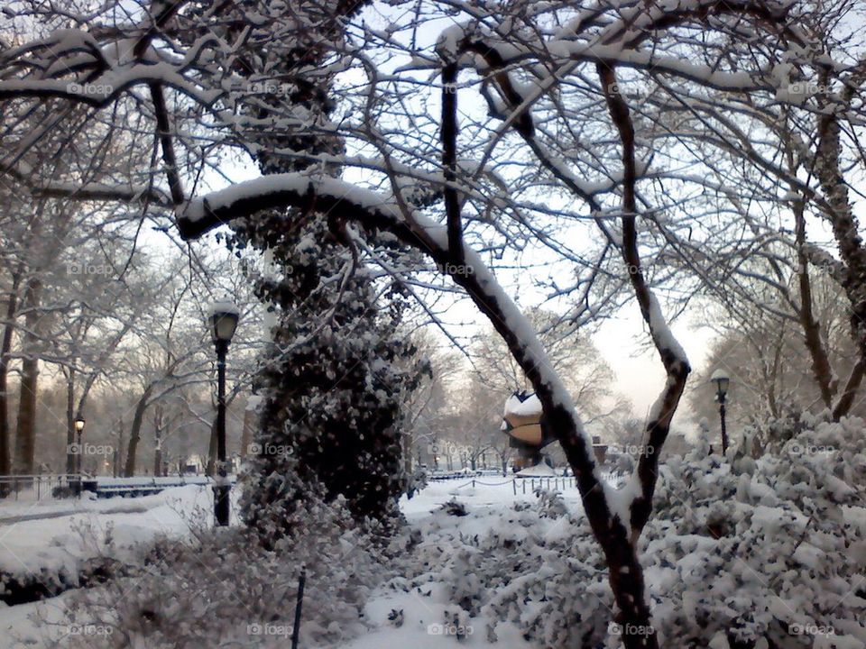 Snow in battery park