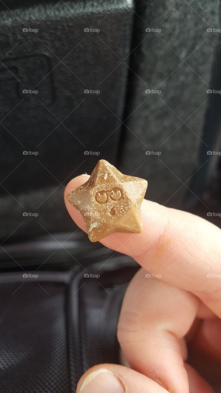 harry potty day trip with a chocolate wearing glasses