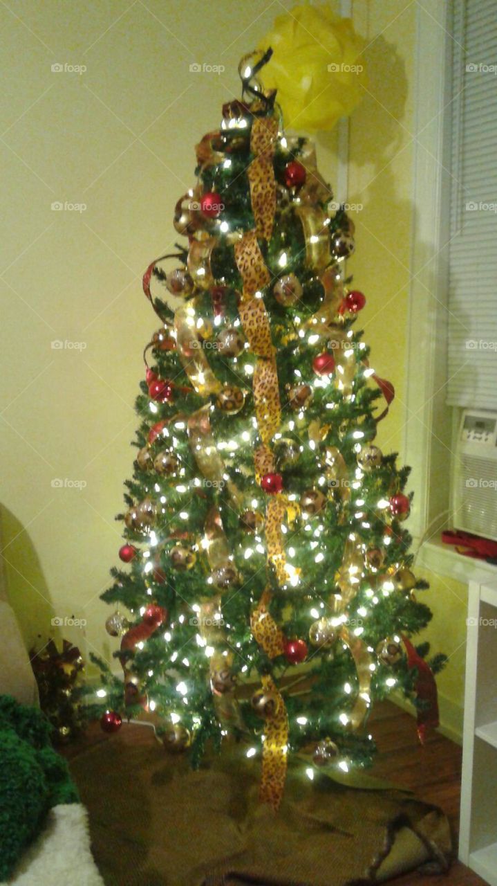 Christmas, Winter, Decoration, Ball, Pine