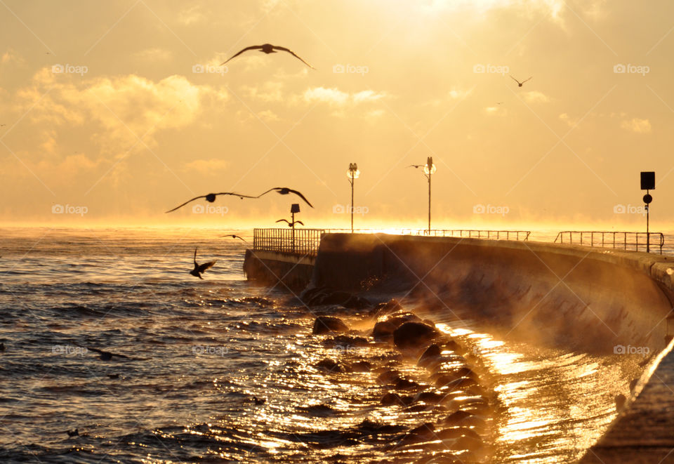 Baltic Sea coast 