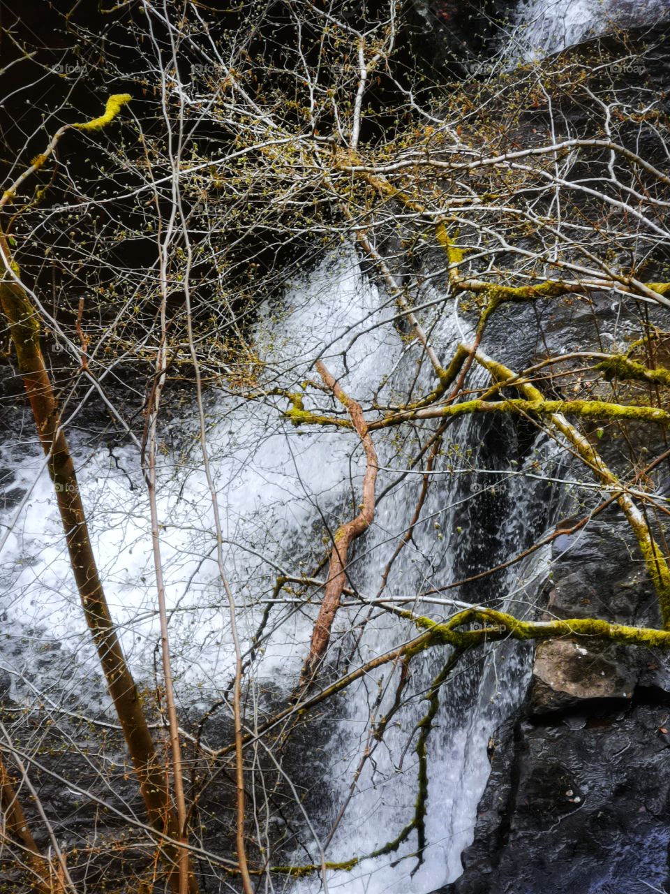 Natural waterfall in the glen