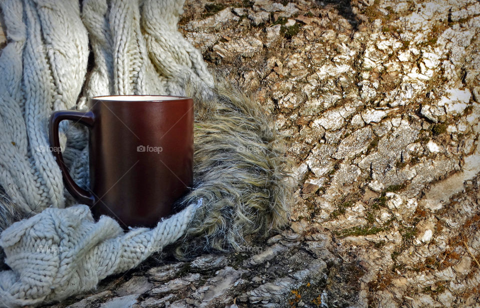 Autumn coffee time in the forest