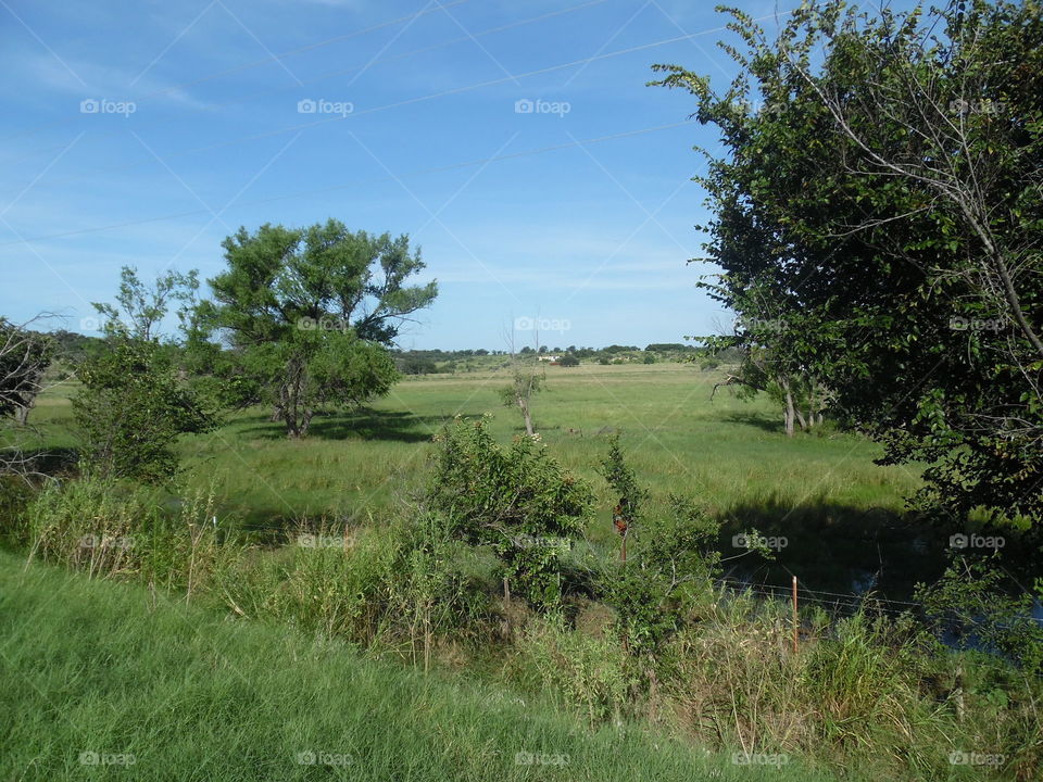 country. This is a picture of some country you can see in East Texas