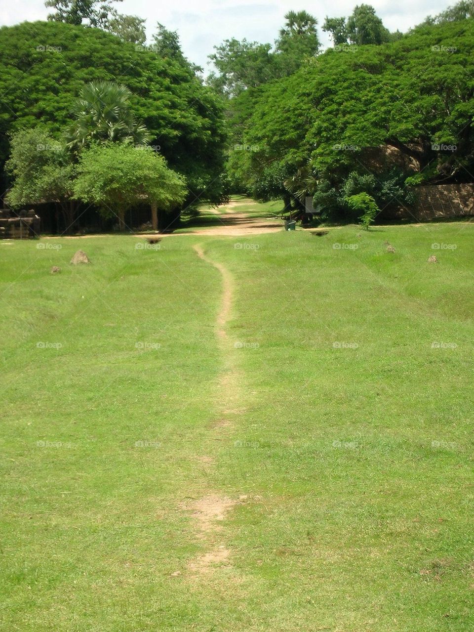 Path
