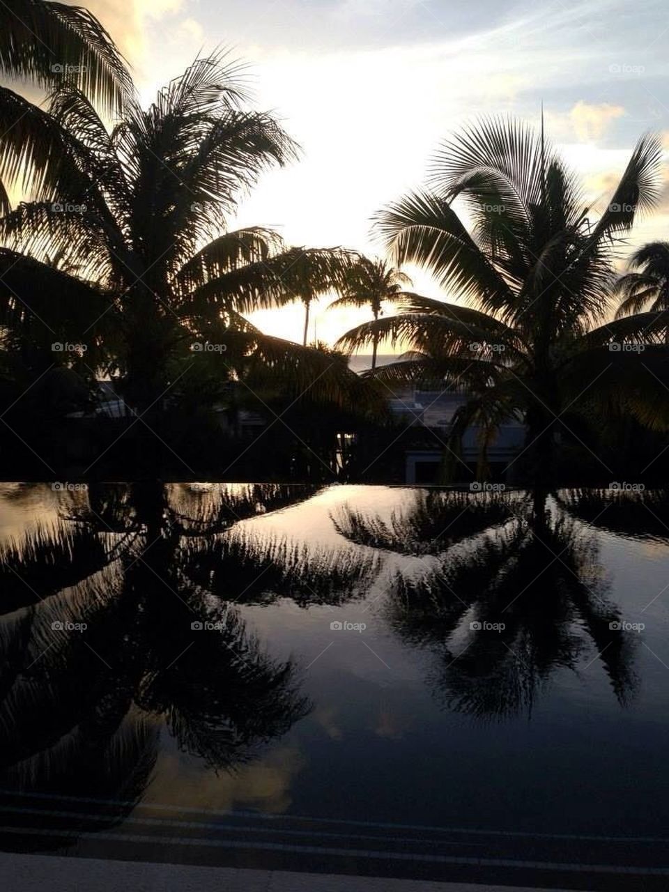 Drop off pool in Miami