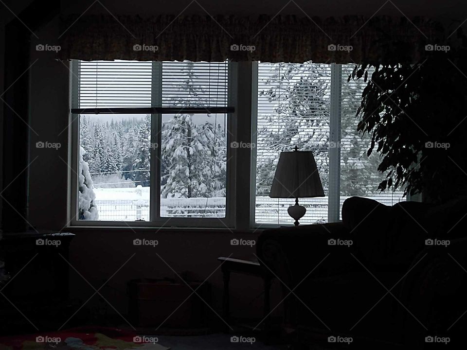 snow and winter window view