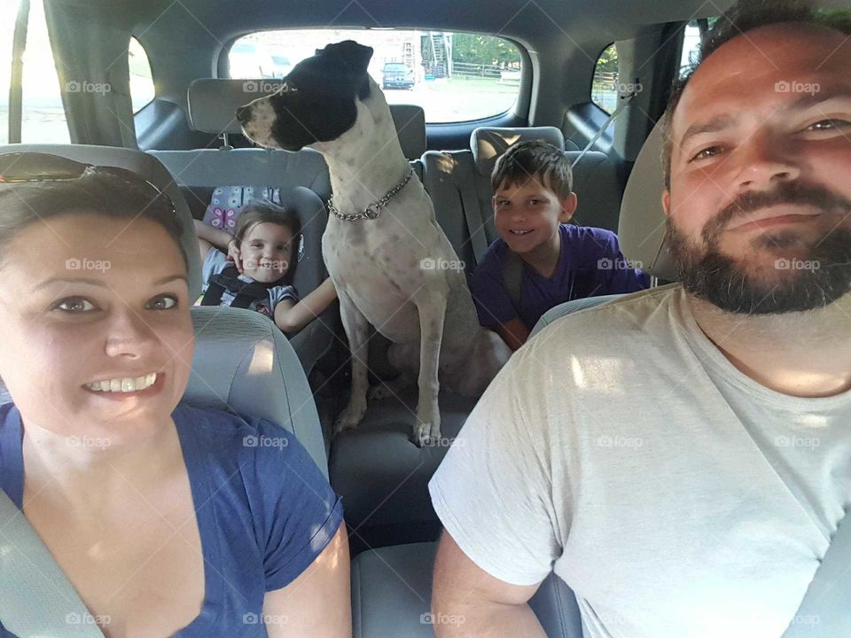 We're going on a car ride!!