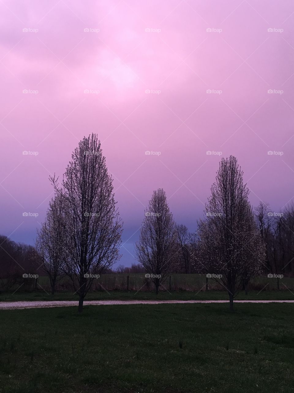 A lot of my friends don’t believe me but the sky was soo purple on this day that it was almost like a filter. It was truly beautiful but also bittersweet because it only lasted for about 30mins and then it was dark outside. 