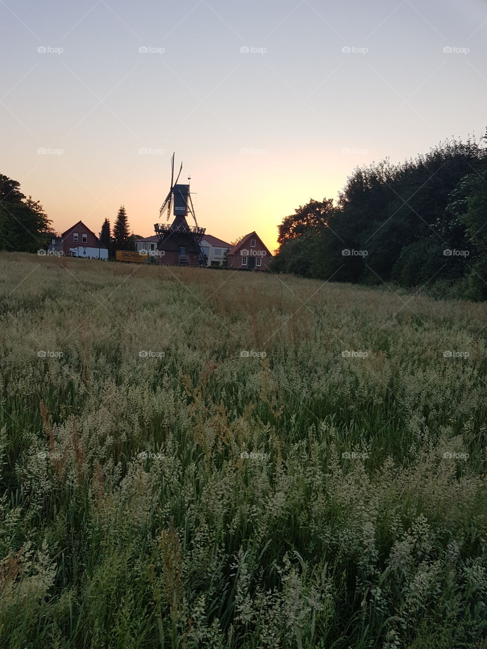 windmill in sunset