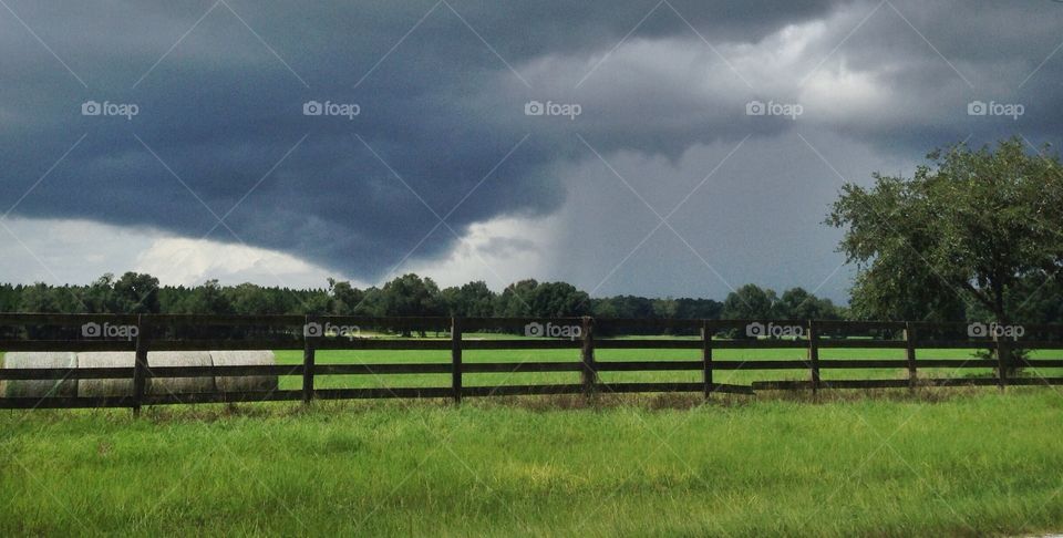 Approaching Storm . North Florida thunderstorms moving across peanut fields