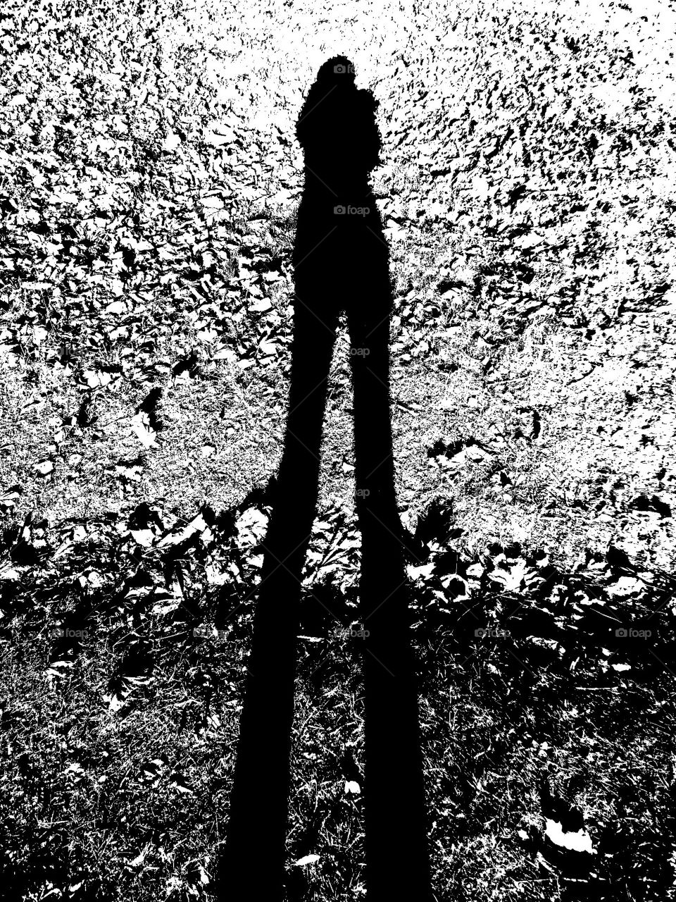 shadow girl black and white abstract art