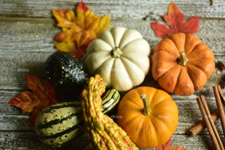Pumpkin everything spices autumn seasonal colors 