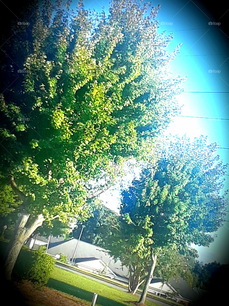 Through The Colored Lens