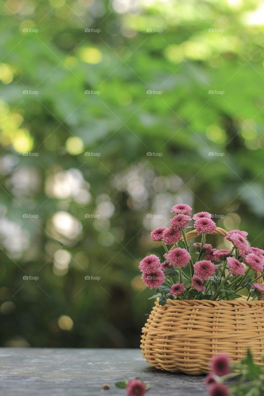 Pink flowers in a rattan vase on hand