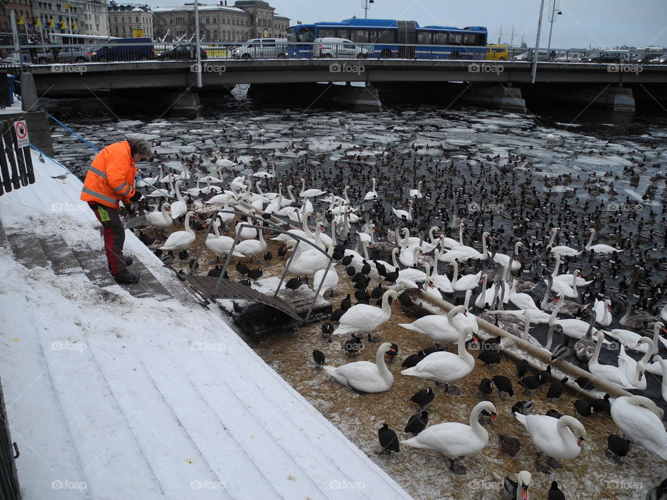 Cold lunch. 
Stockholm downtown. 