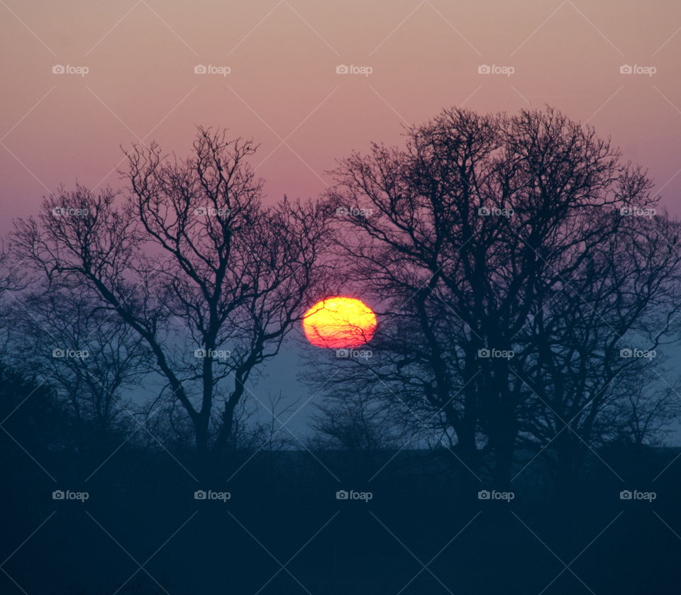 Sunrise capture amongst silhouetted trees and a beautiful pastel sky. Shades of blue, pink and orange. 