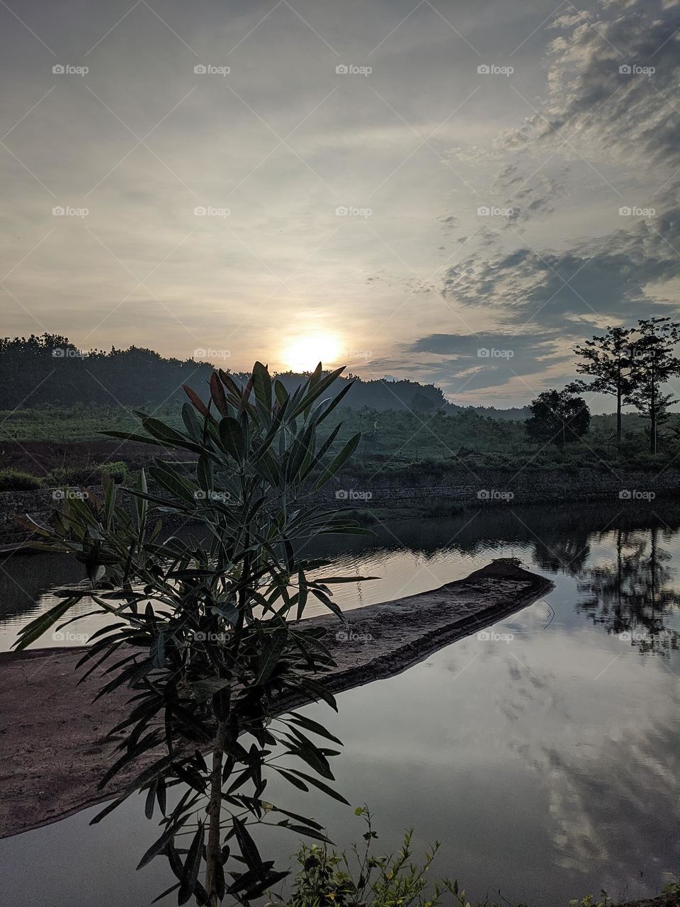 Good morning from Indonesia