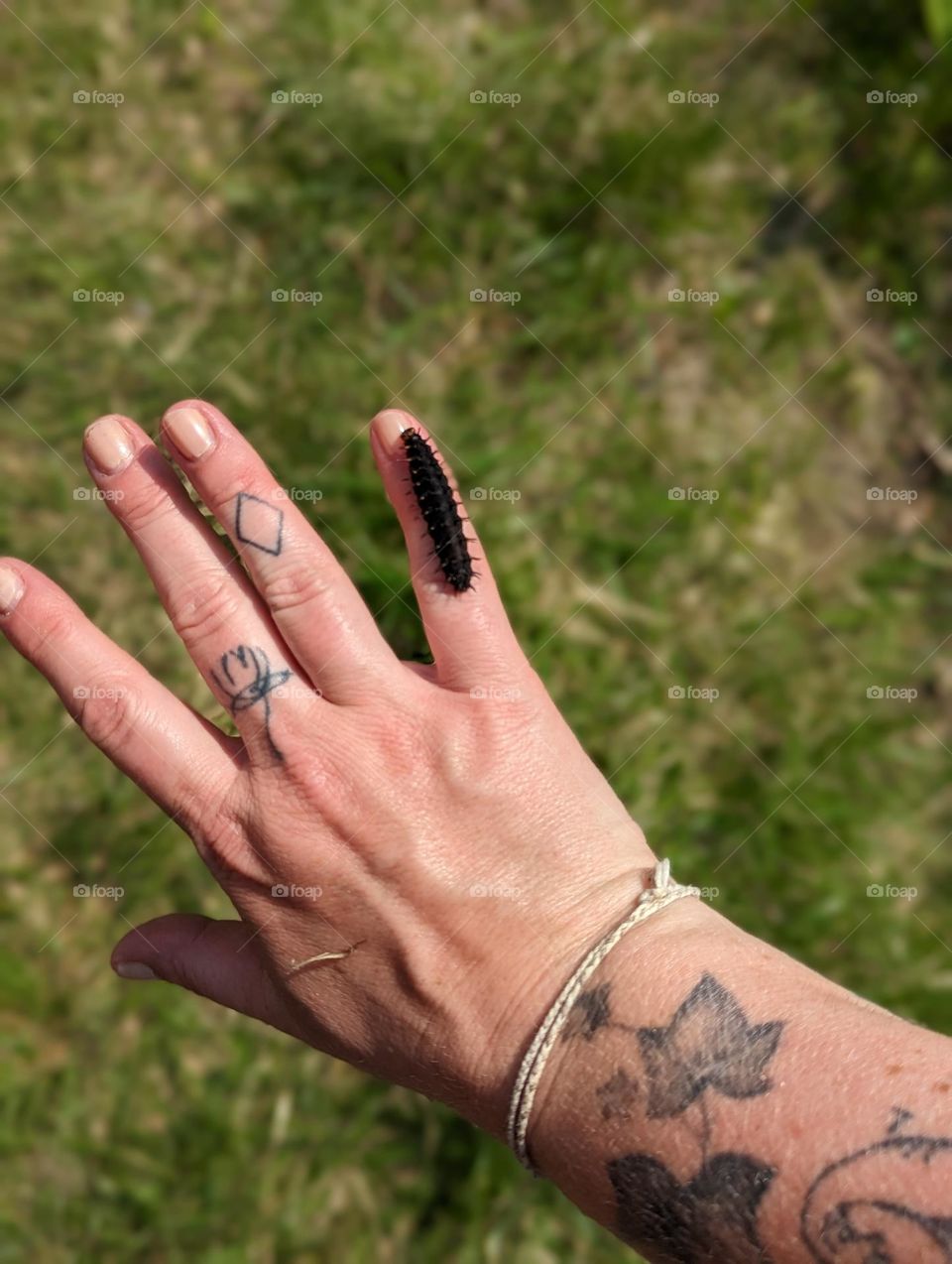 black fuzzy caterpillar crawling on women's pinky finger on a nature hike by a waterfall tattooed fingers