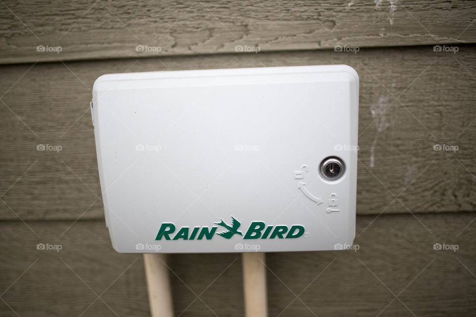 rain bird